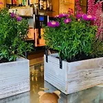 Weinhotel Eltvinum 酒店 3*