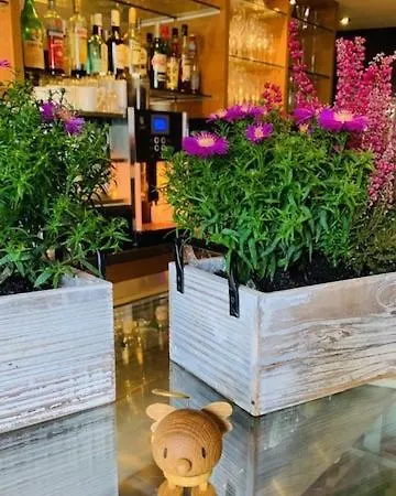 Weinhotel Eltvinum Ξενοδοχείο 3*