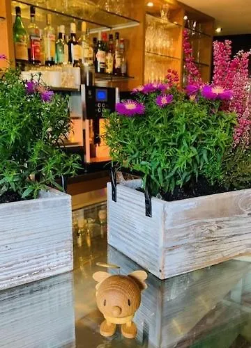 Weinhotel Eltvinum Hotel 3*